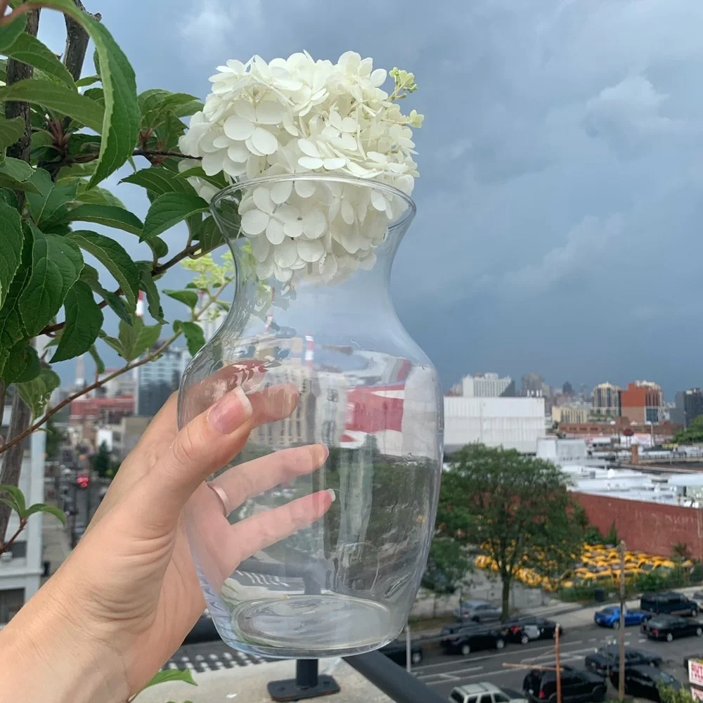 2in1 Glass See Through Floral Vase or Lemonade Water Pitcher